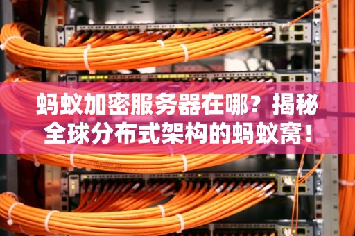 蚂蚁加密服务器在哪？揭秘全球分布式架构的蚂蚁窝！