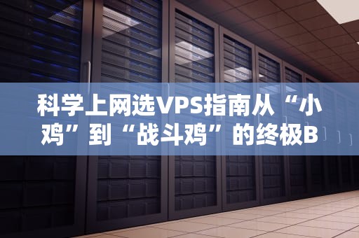 科学上网选VPS指南从“小鸡”到“战斗鸡”的终极Battle！