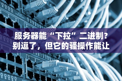 服务器能“下拉”二进制？别逗了，但它的骚操作能让你惊掉下巴！