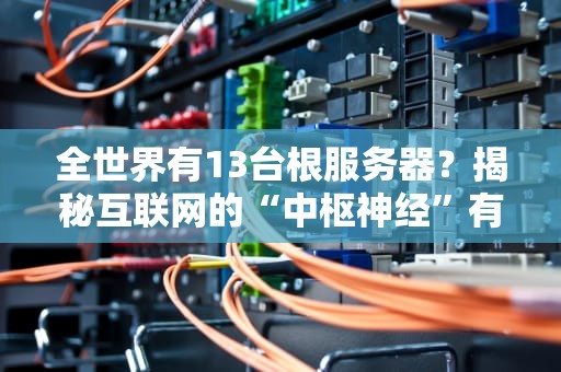 全世界有13台根服务器？揭秘互联网的“中枢神经”有多硬核！