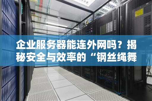 企业服务器能连外网吗？揭秘安全与效率的“钢丝绳舞蹈”