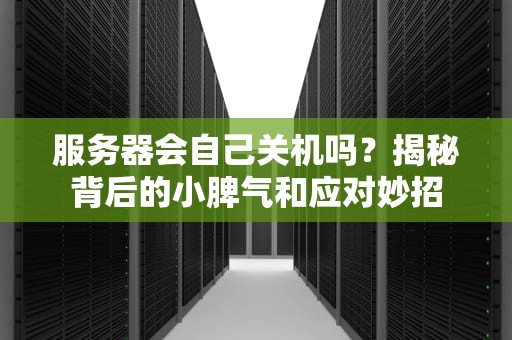 服务器会自己关机吗？揭秘背后的小脾气和应对妙招