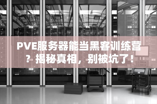 PVE服务器能当黑客训练营？揭秘真相，别被坑了！
