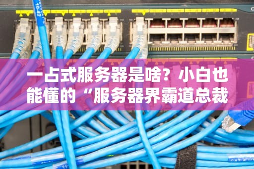一占式服务器是啥？小白也能懂的“服务器界霸道总裁”科普指南！