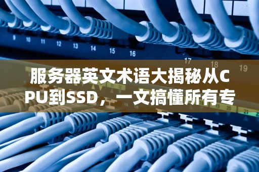服务器英文术语大揭秘从CPU到SSD，一文搞懂所有专业名词！