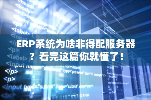 ERP系统为啥非得配服务器？看完这篇你就懂了！