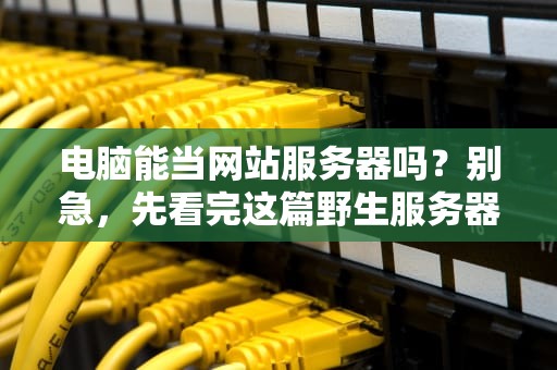 电脑能当网站服务器吗？别急，先看完这篇野生服务器驯化指南！