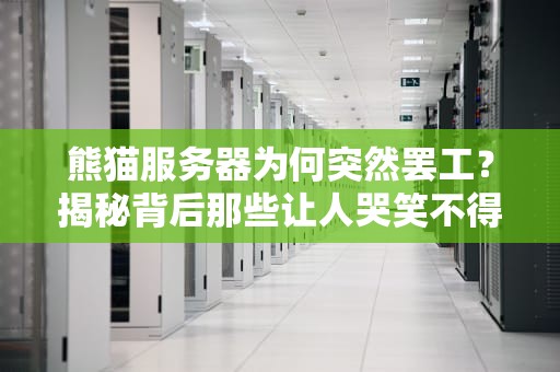 熊猫服务器为何突然罢工？揭秘背后那些让人哭笑不得的技术原因
