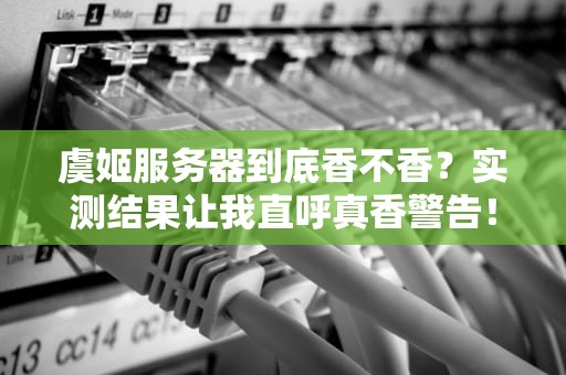 虞姬服务器到底香不香？实测结果让我直呼真香警告！