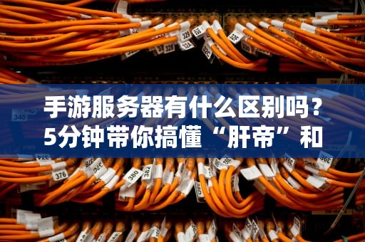 手游服务器有什么区别吗？5分钟带你搞懂“肝帝”和“氪佬”的幕后战场！
