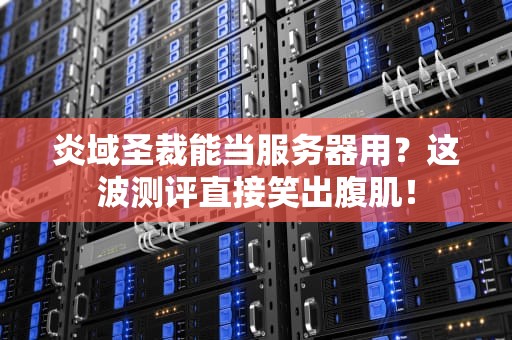 炎域圣裁能当服务器用？这波测评直接笑出腹肌！