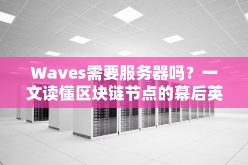 Waves需要服务器吗？一文读懂区块链节点的幕后英雄！