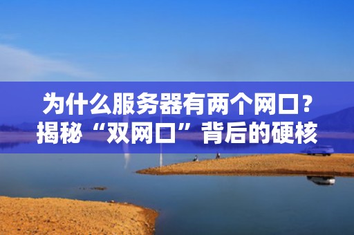 为什么服务器有两个网口？揭秘“双网口”背后的硬核小心机！