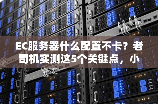 EC服务器什么配置不卡？老司机实测这5个关键点，小白也能秒懂！