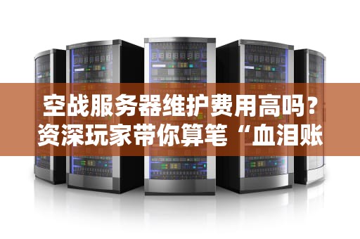 空战服务器维护费用高吗？资深玩家带你算笔“血泪账”