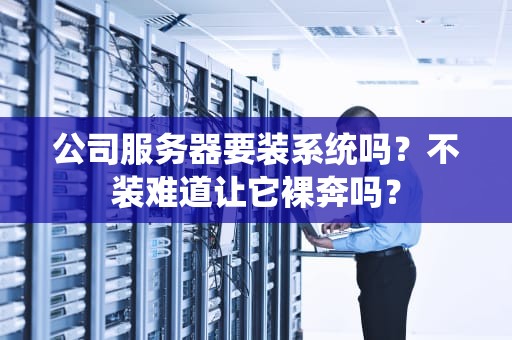 公司服务器要装系统吗？不装难道让它裸奔吗？