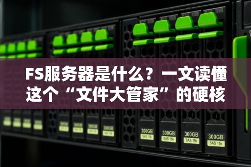FS服务器是什么？一文读懂这个“文件大管家”的硬核实力！