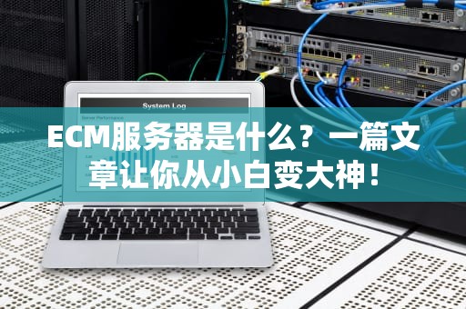 ECM服务器是什么？一篇文章让你从小白变大神！