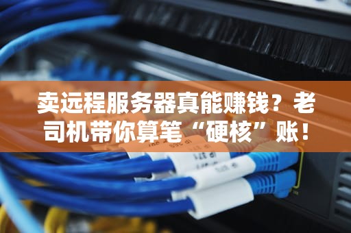 卖远程服务器真能赚钱？老司机带你算笔“硬核”账！