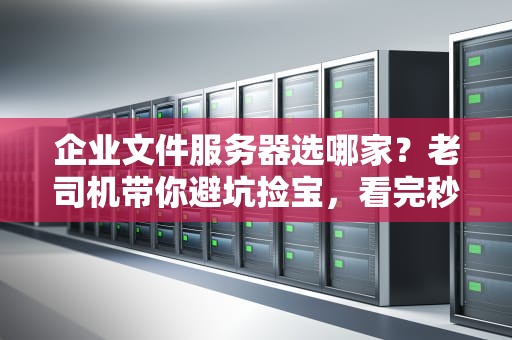 企业文件服务器选哪家？老司机带你避坑捡宝，看完秒变IT大神！