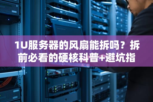 1U服务器的风扇能拆吗？拆前必看的硬核科普+避坑指南！