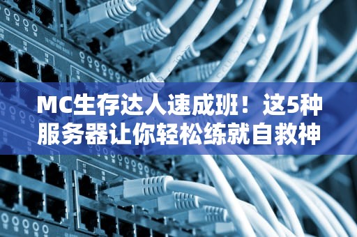 MC生存达人速成班！这5种服务器让你轻松练就自救神技（附实战攻略）