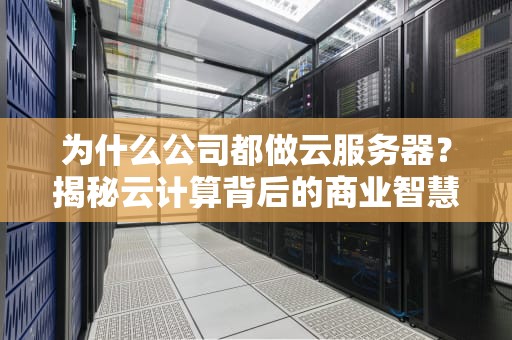 为什么公司都做云服务器？揭秘云计算背后的商业智慧与技术魅力