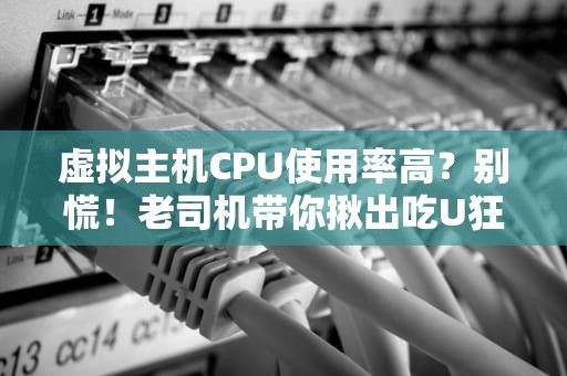 虚拟主机CPU使用率高？别慌！老司机带你揪出吃U狂魔