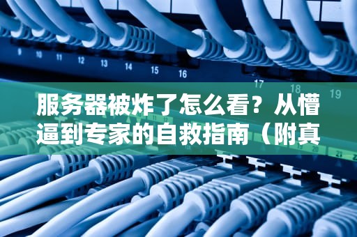 服务器被炸了怎么看？从懵逼到专家的自救指南（附真实案例）