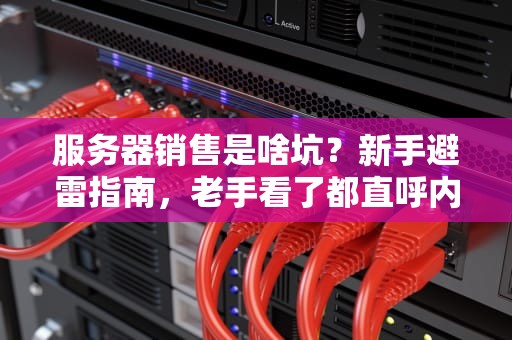 服务器销售是啥坑？新手避雷指南，老手看了都直呼内行！