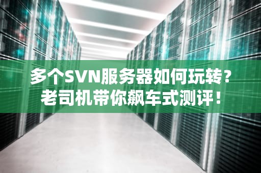 多个SVN服务器如何玩转？老司机带你飙车式测评！