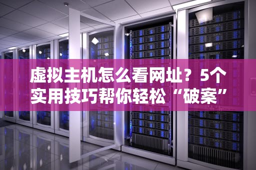 虚拟主机怎么看网址？5个实用技巧帮你轻松“破案”！