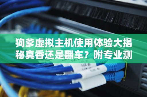 狗爹虚拟主机使用体验大揭秘真香还是翻车？附专业测评+避坑指南
