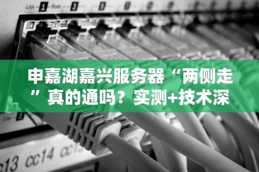 申嘉湖嘉兴服务器“两侧走”真的通吗？实测+技术深扒，看完秒懂！