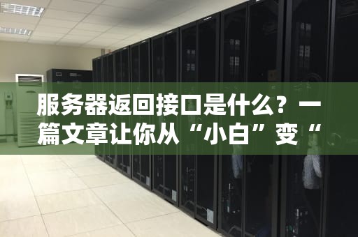 服务器返回接口是什么？一篇文章让你从“小白”变“大神”！
