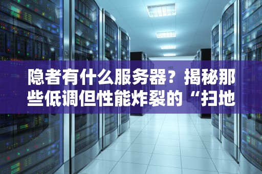 隐者有什么服务器？揭秘那些低调但性能炸裂的“扫地僧”级主机！