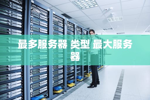 最多服务器 类型 最大服务器