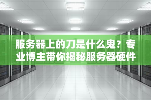 服务器上的刀是什么鬼？专业博主带你揭秘服务器硬件冷知识