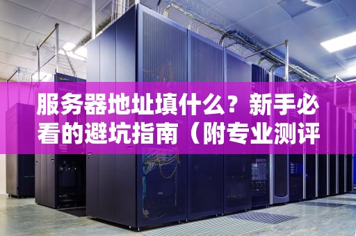 服务器地址填什么？新手必看的避坑指南（附专业测评）