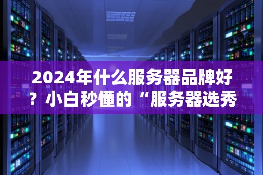 2024年什么服务器品牌好？小白秒懂的“服务器选秀大会”来了！