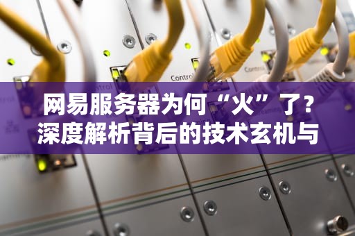 网易服务器为何“火”了？深度解析背后的技术玄机与防火秘籍