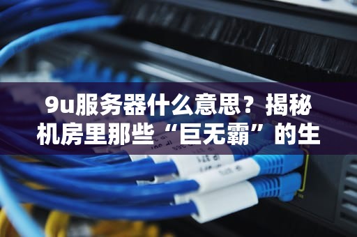 9u服务器什么意思？揭秘机房里那些“巨无霸”的生存法则！