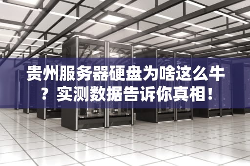 贵州服务器硬盘为啥这么牛？实测数据告诉你真相！