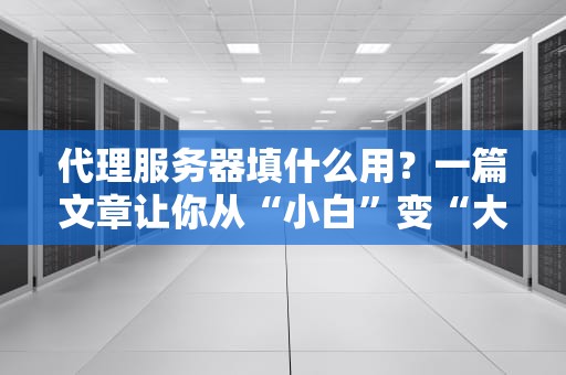 代理服务器填什么用？一篇文章让你从“小白”变“大神”！