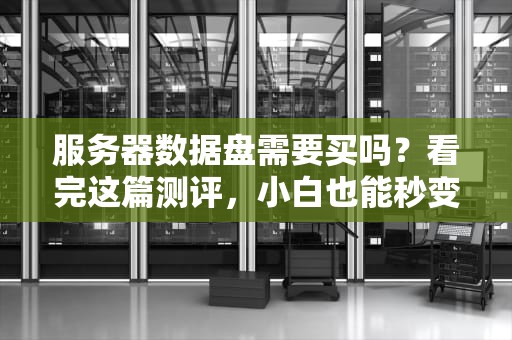服务器数据盘需要买吗？看完这篇测评，小白也能秒变老司机！