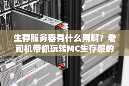 生存服务器有什么用啊？老司机带你玩转MC生存服的N种骚操作！