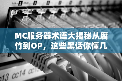 MC服务器术语大揭秘从腐竹到OP，这些黑话你懂几个？