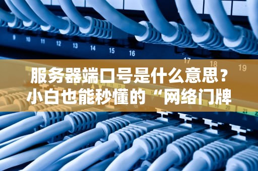 服务器端口号是什么意思？小白也能秒懂的“网络门牌号”科普！
