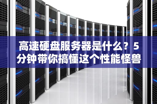 高速硬盘服务器是什么？5分钟带你搞懂这个性能怪兽！