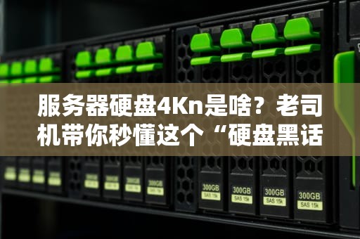 服务器硬盘4Kn是啥？老司机带你秒懂这个“硬盘黑话”！
